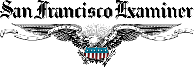 examiner logo light background